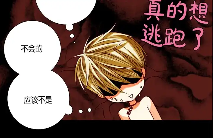 完美无缺的虏获 第72话 绝对不会放开你 第54页