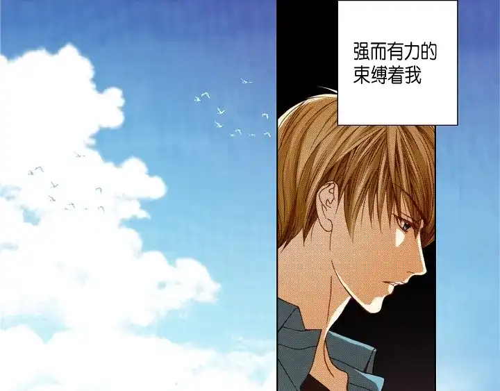 完美无缺的虏获 第87话 我不是一个人 第41页