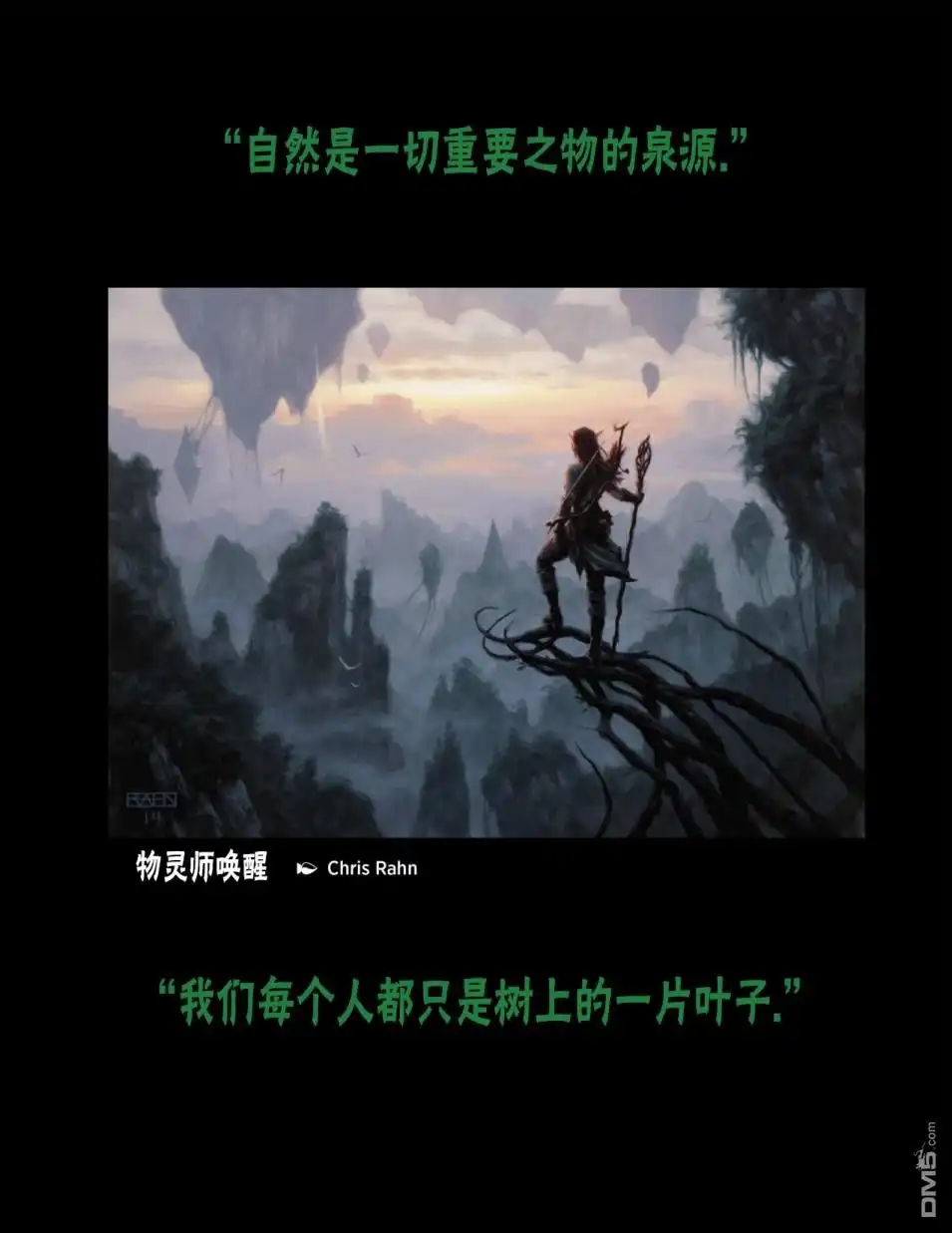 《万智牌MTG》人物介绍下 第37页