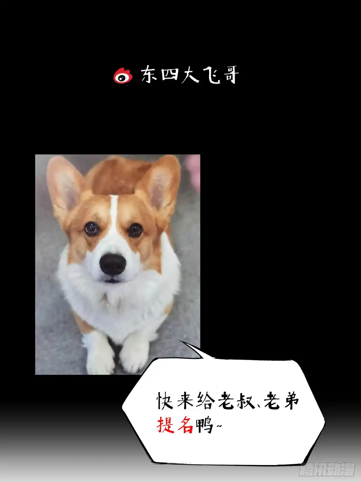 《挖罪小老弟》我滴个亲娘 第33页