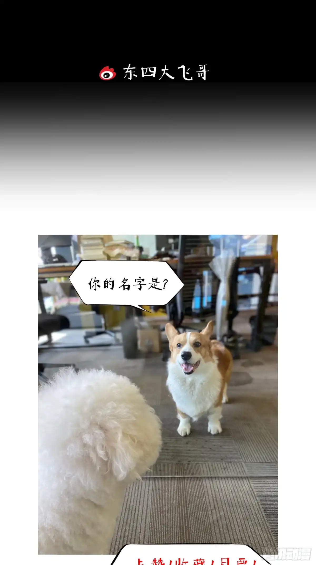 《挖罪小老弟》共寻真相 第52页