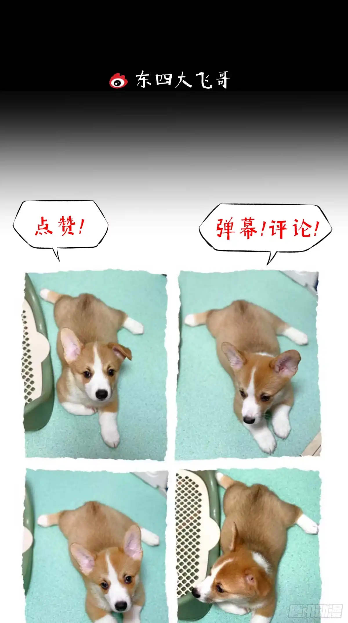 《挖罪小老弟》一通电话！ 第33页