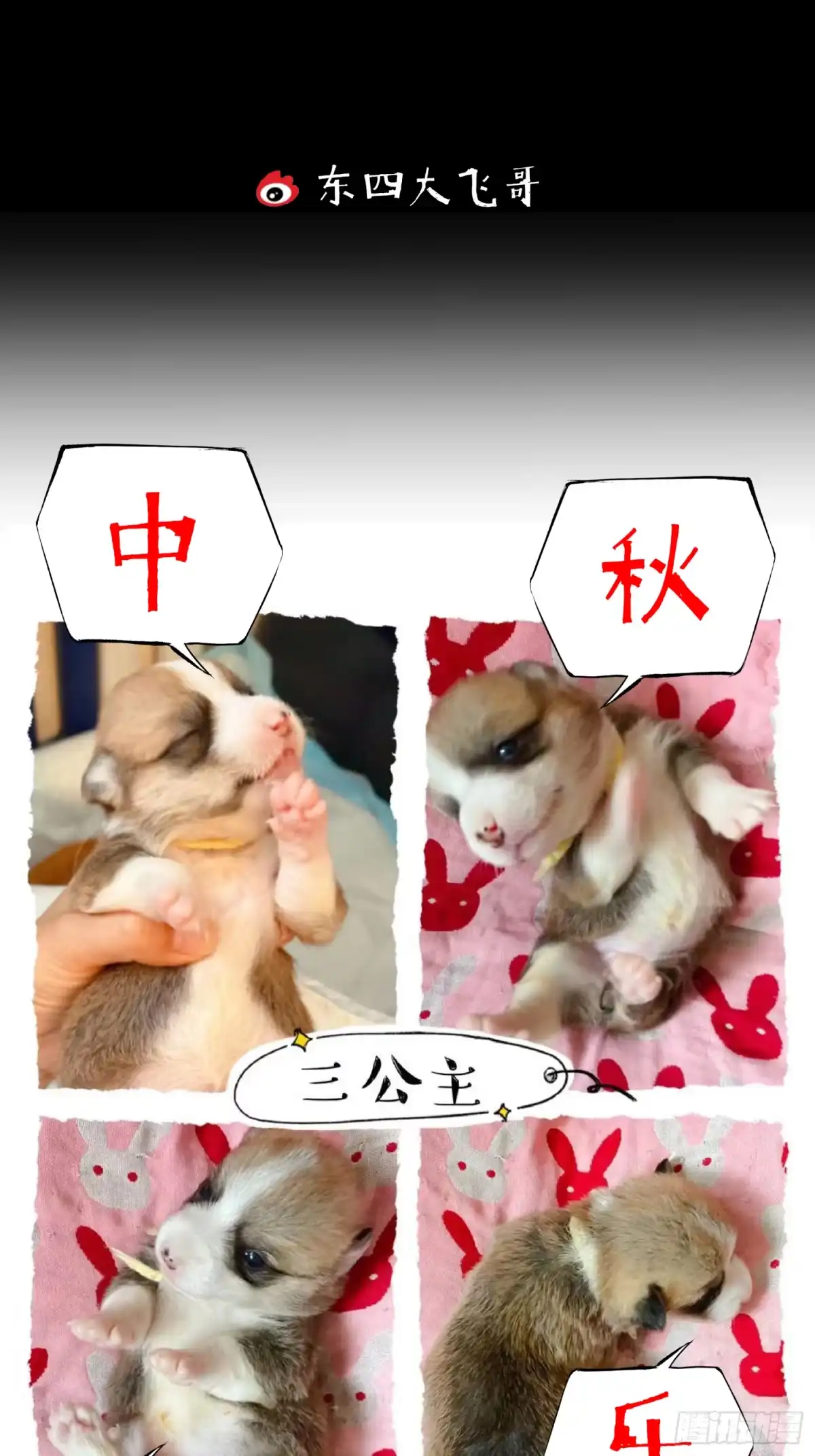 《挖罪小老弟》执刀人 第62页
