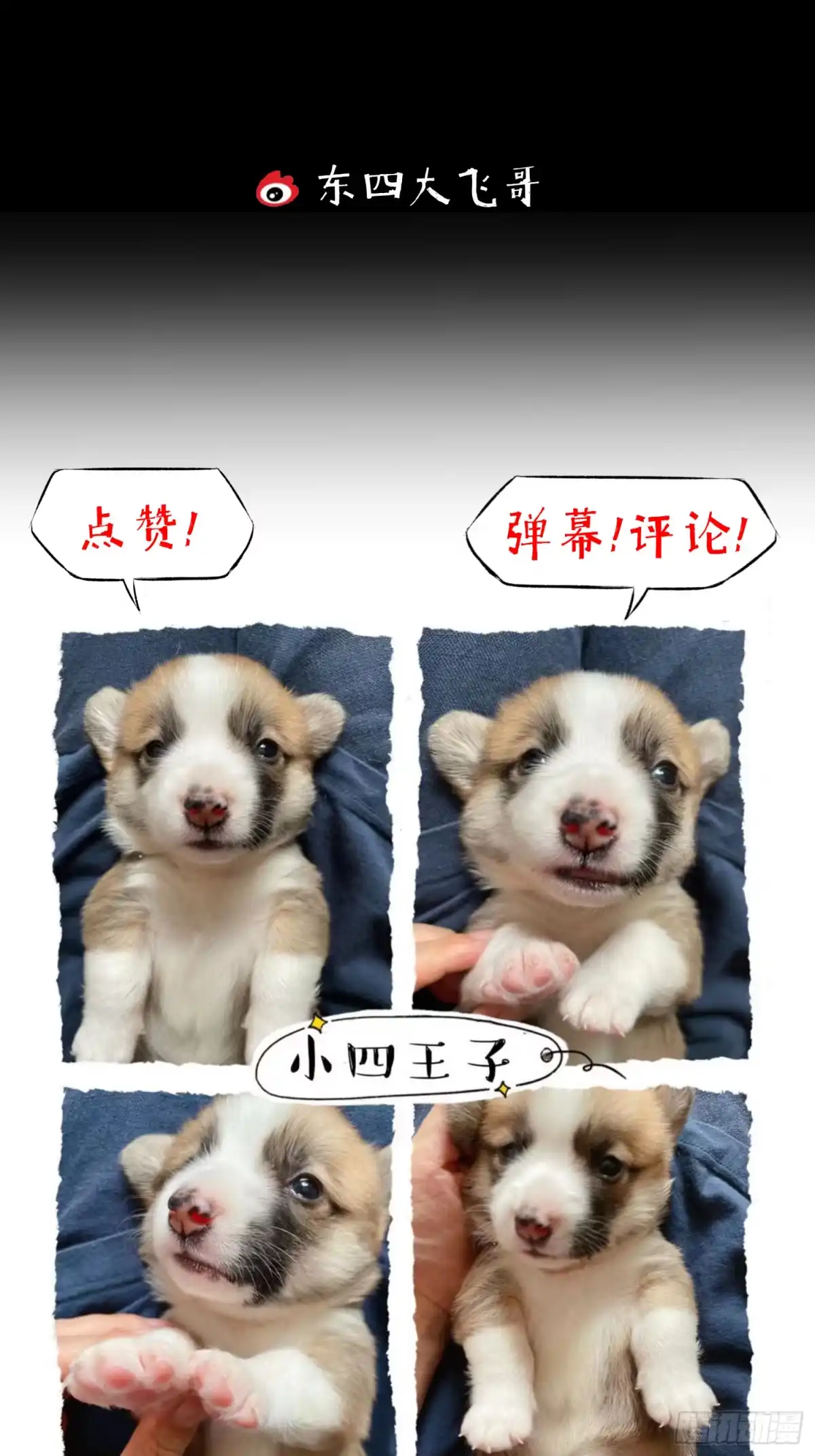 《挖罪小老弟》咱俩算个总账 第28页