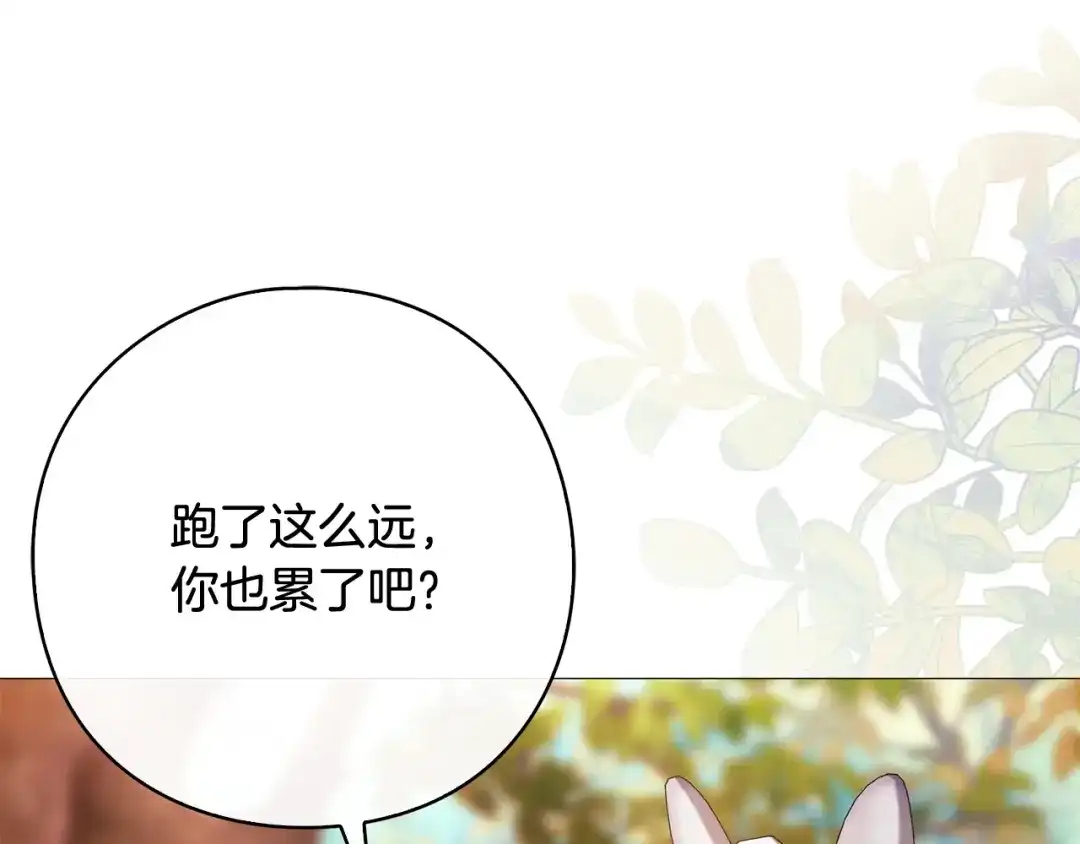 《为了达芙萘》第19话 寻找逃跑路线 第78页