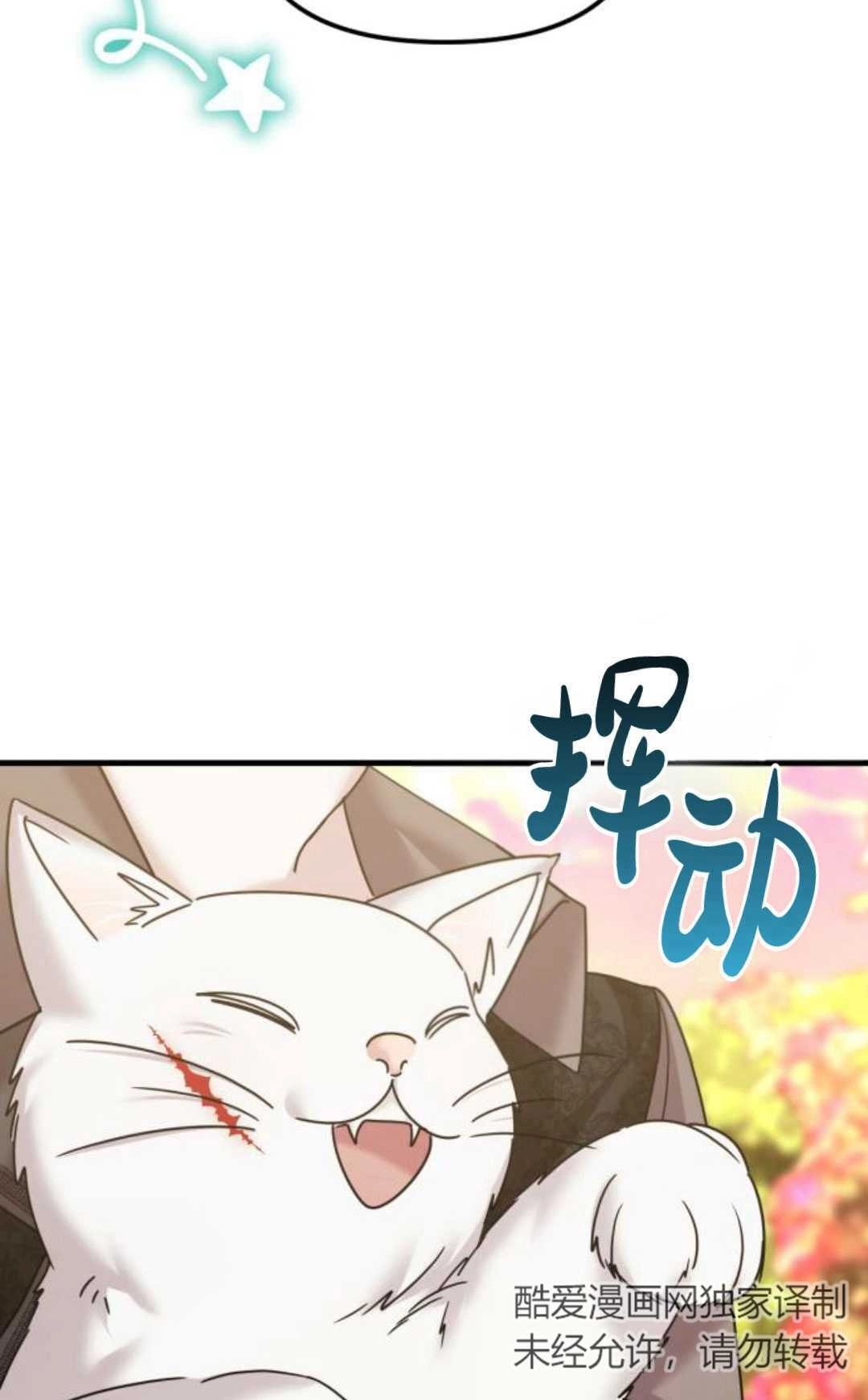 《为了复仇的婚姻联盟》第13话 第70页