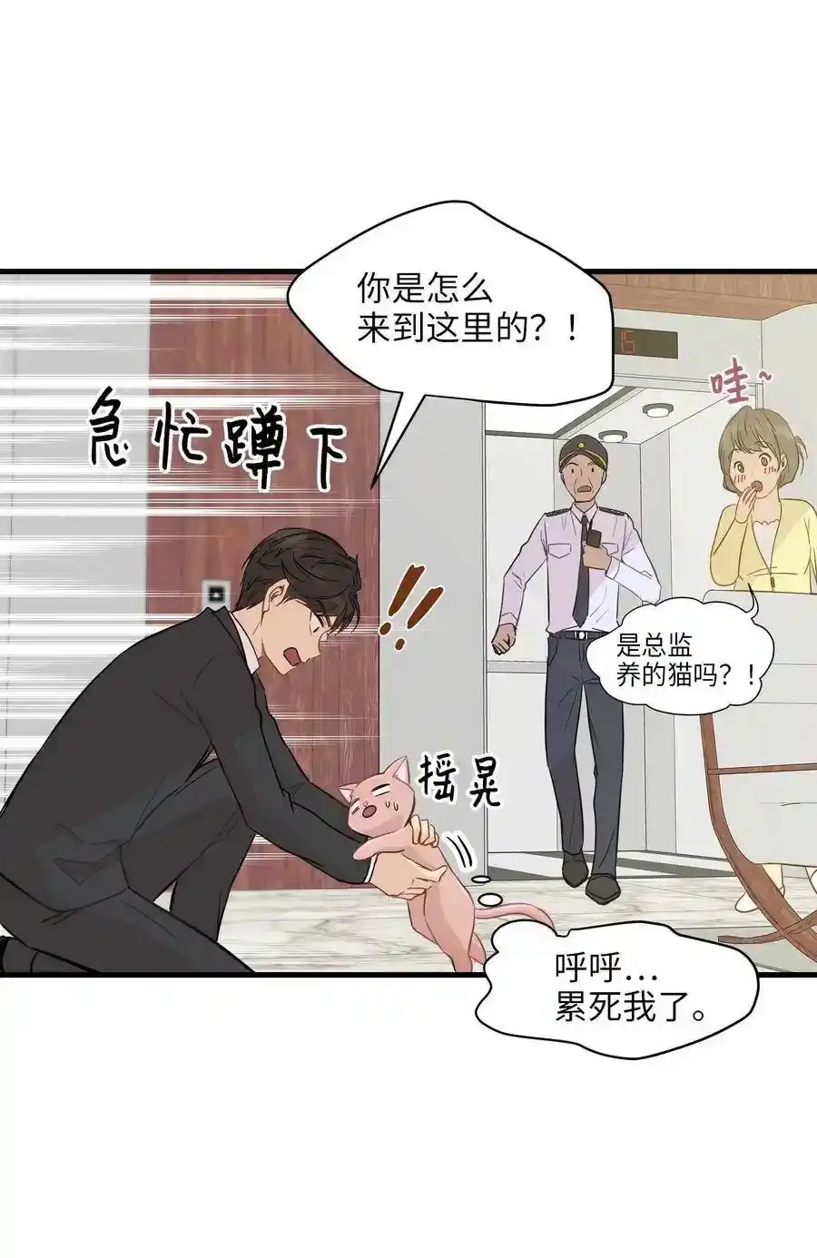 《为喵人生》10 喵喵快递 第40页