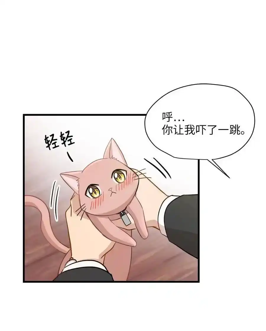 《为喵人生》10 喵喵快递 第45页