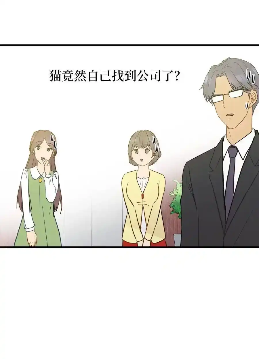 《为喵人生》10 喵喵快递 第44页