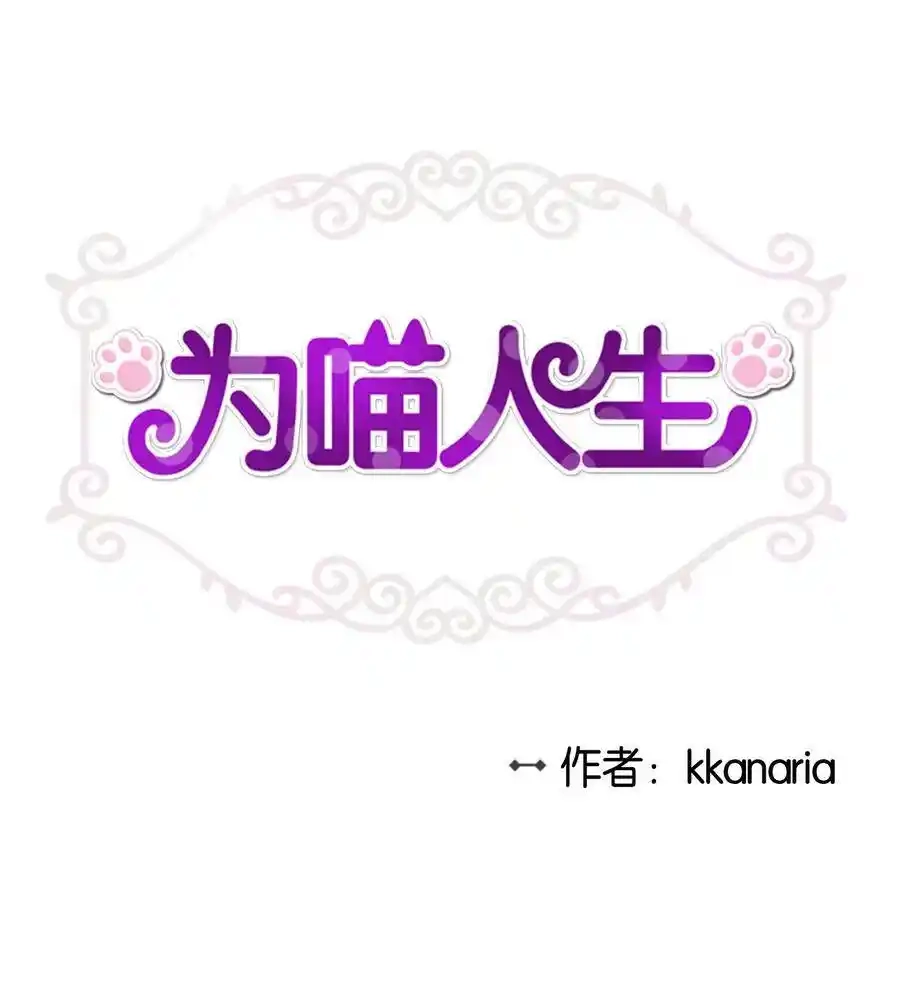 《为喵人生》11 暗流涌动 第1页