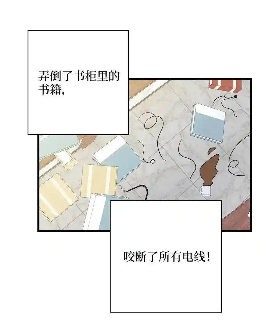 《为喵人生》11 暗流涌动 第34页