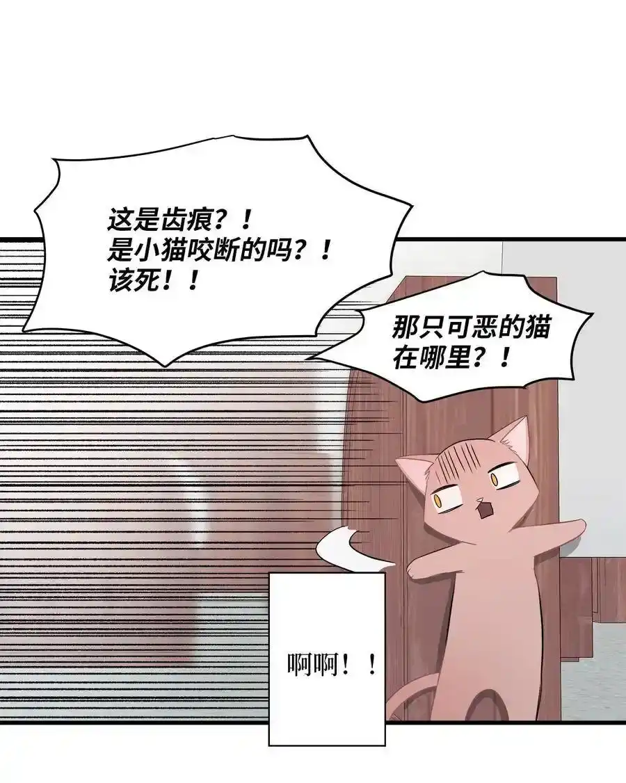 《为喵人生》11 暗流涌动 第41页