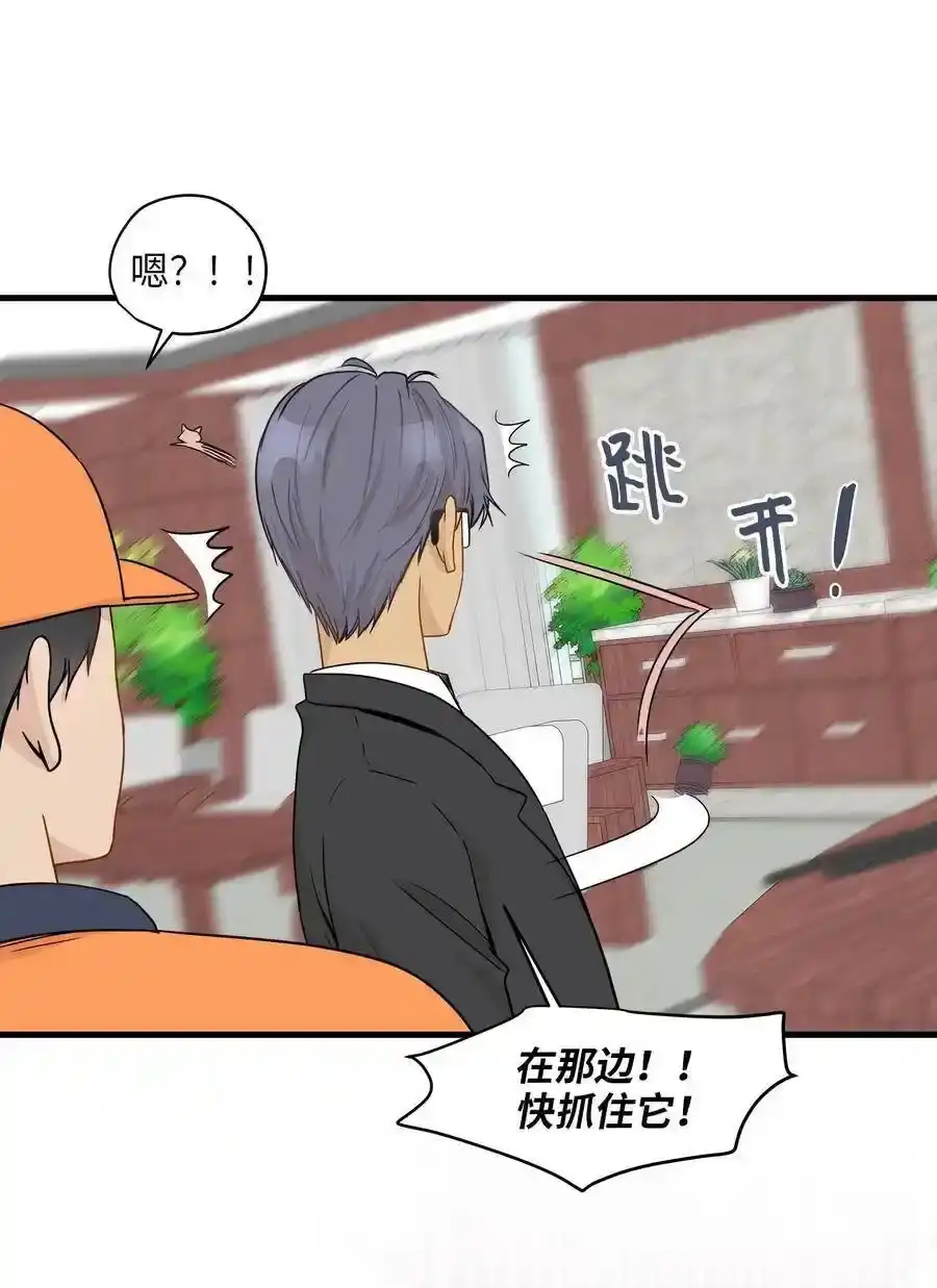 《为喵人生》11 暗流涌动 第43页