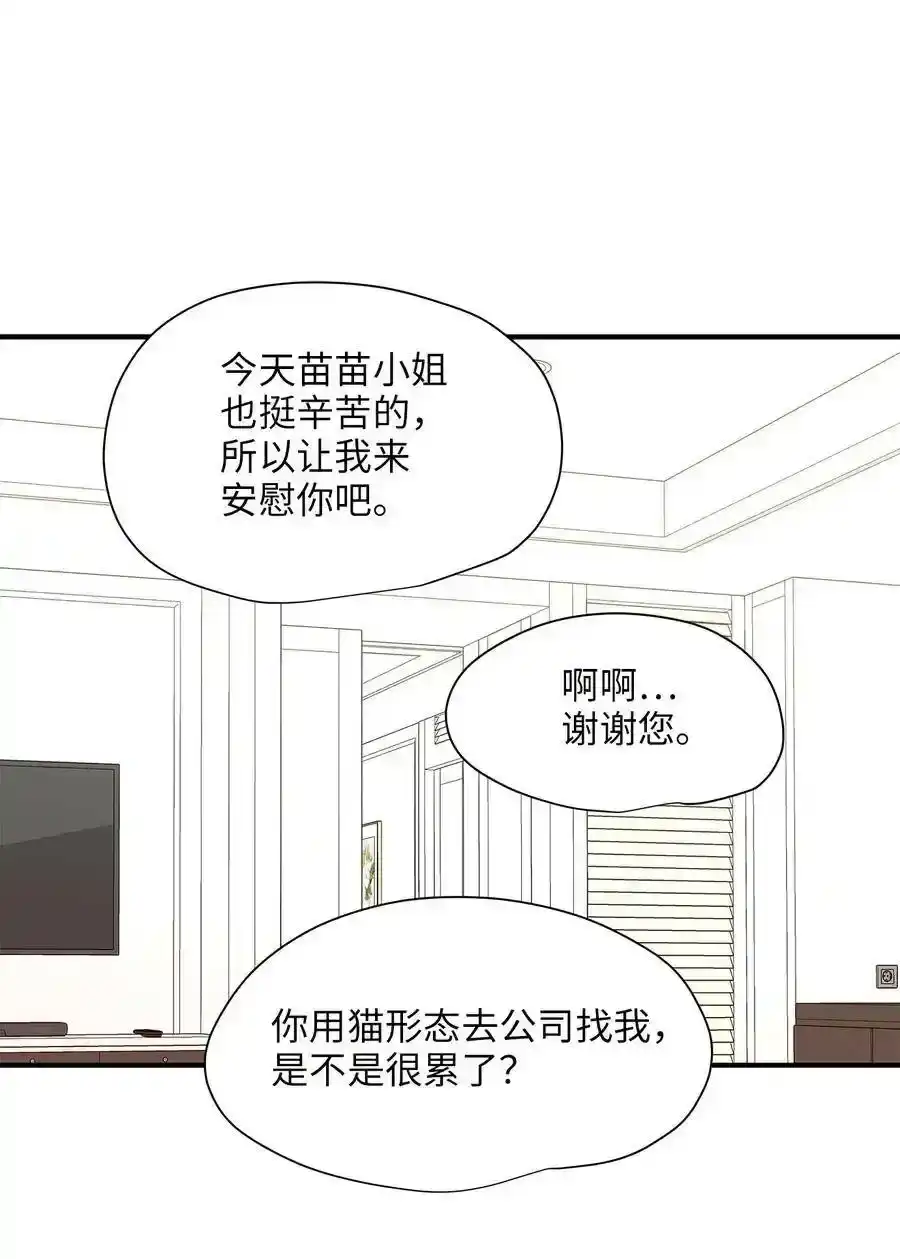 《为喵人生》15 我想安慰你 第47页