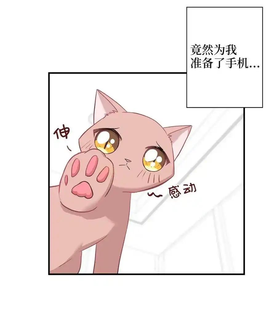 《为喵人生》17 调查 第16页