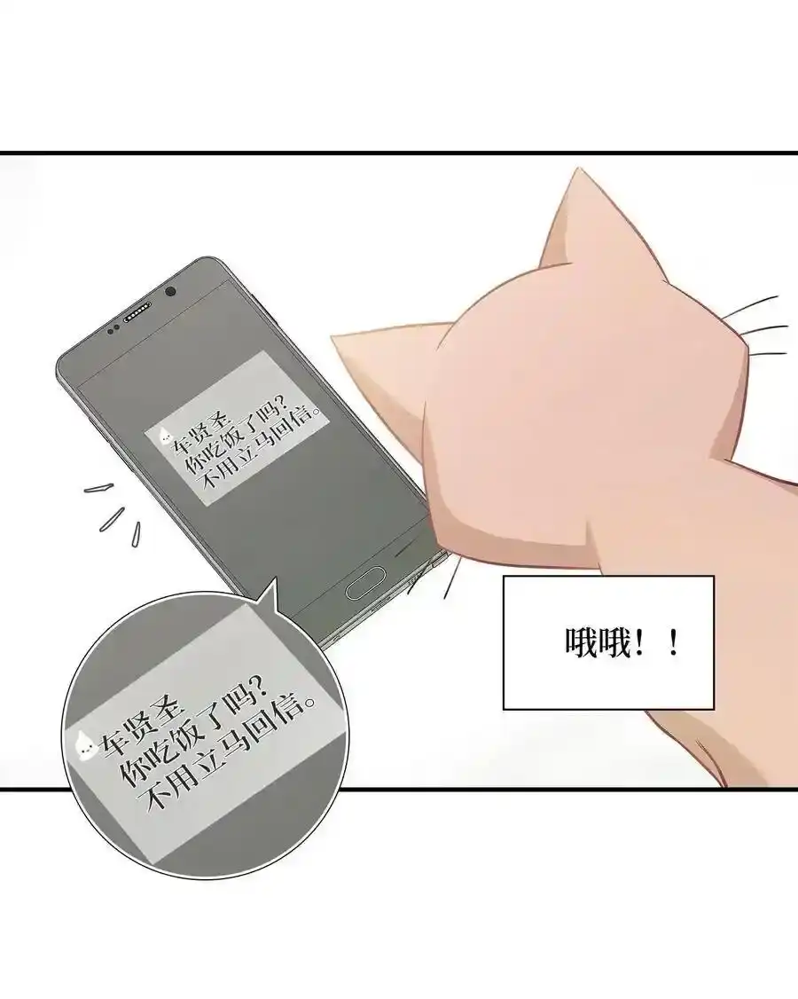 《为喵人生》17 调查 第15页