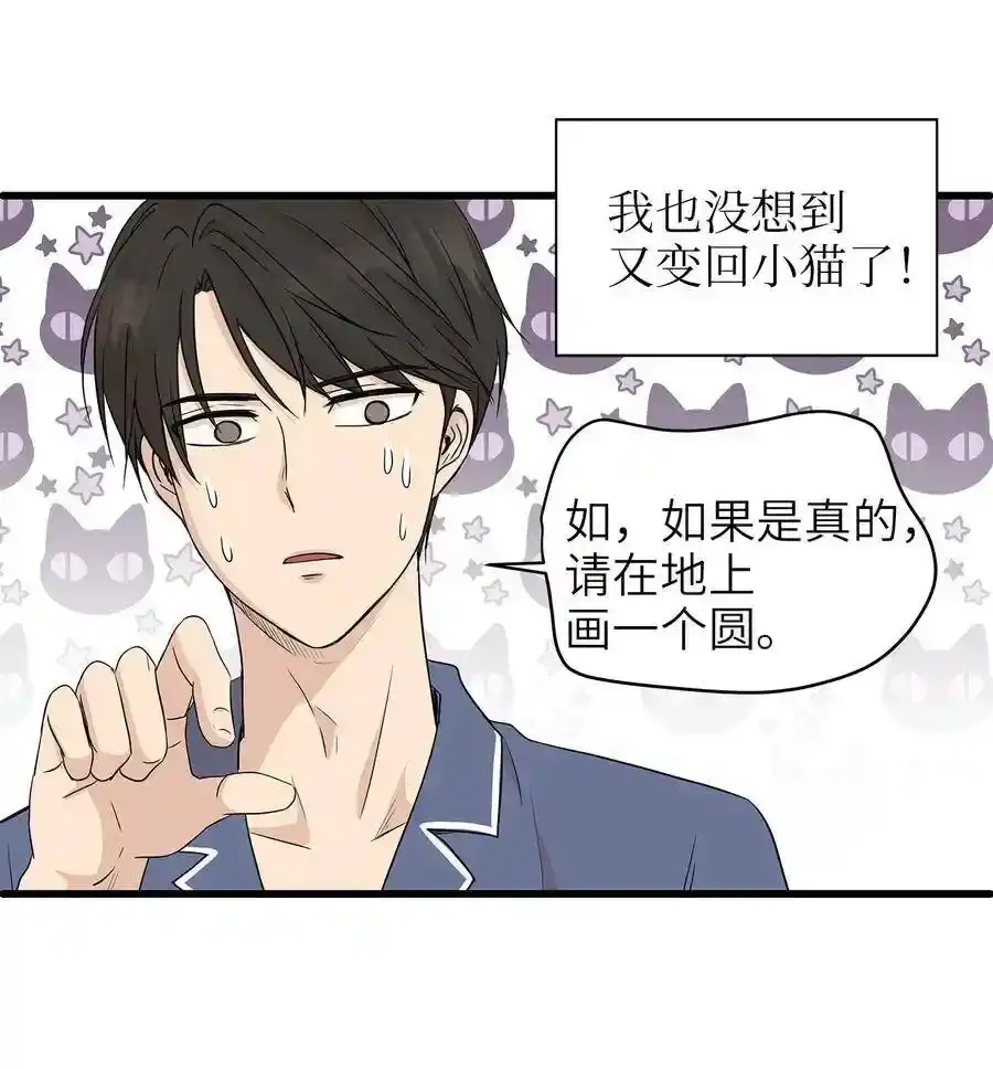 《为喵人生》02 我能摸一摸你吗？ 第40页