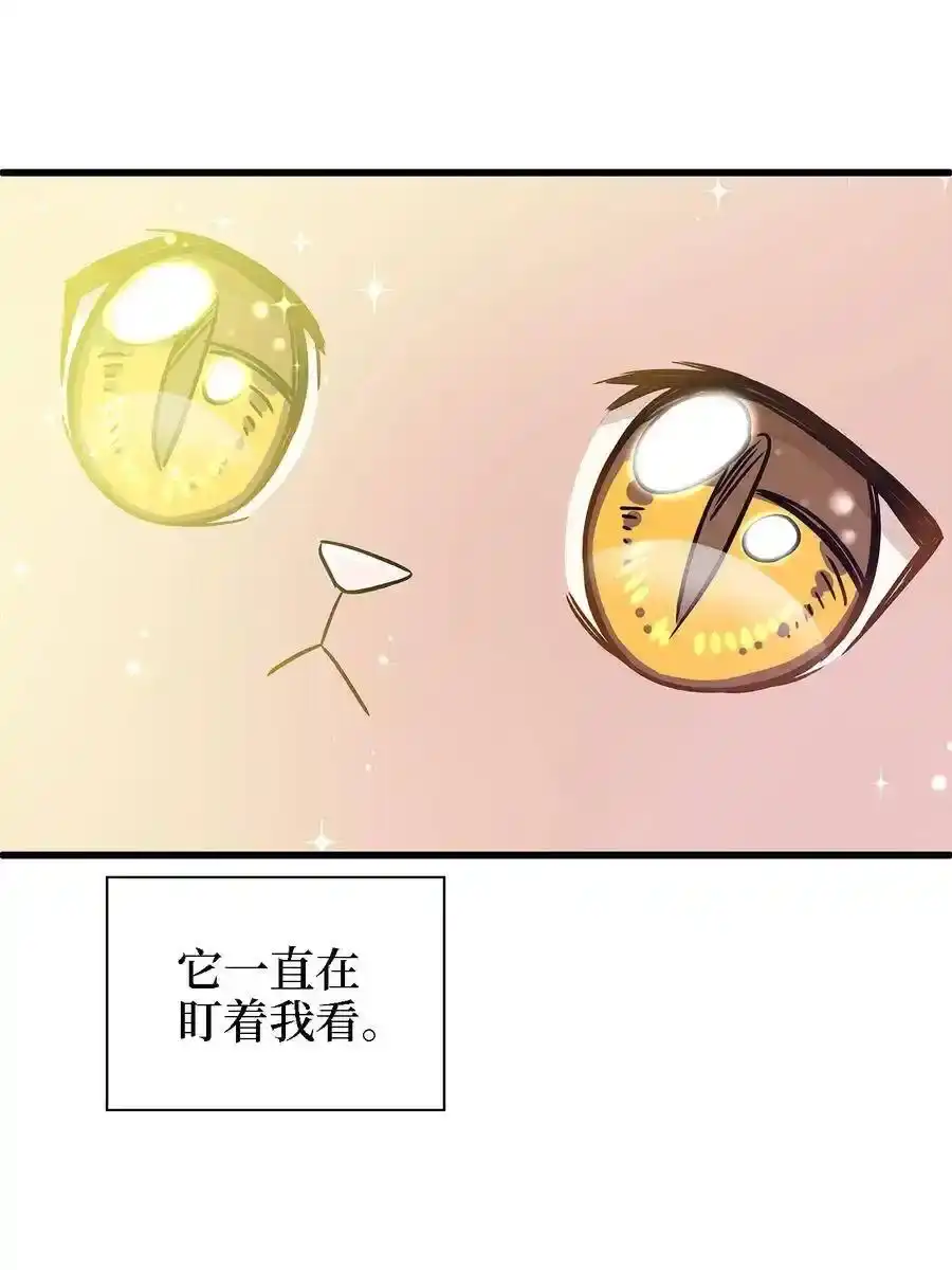 《为喵人生》02 我能摸一摸你吗？ 第48页