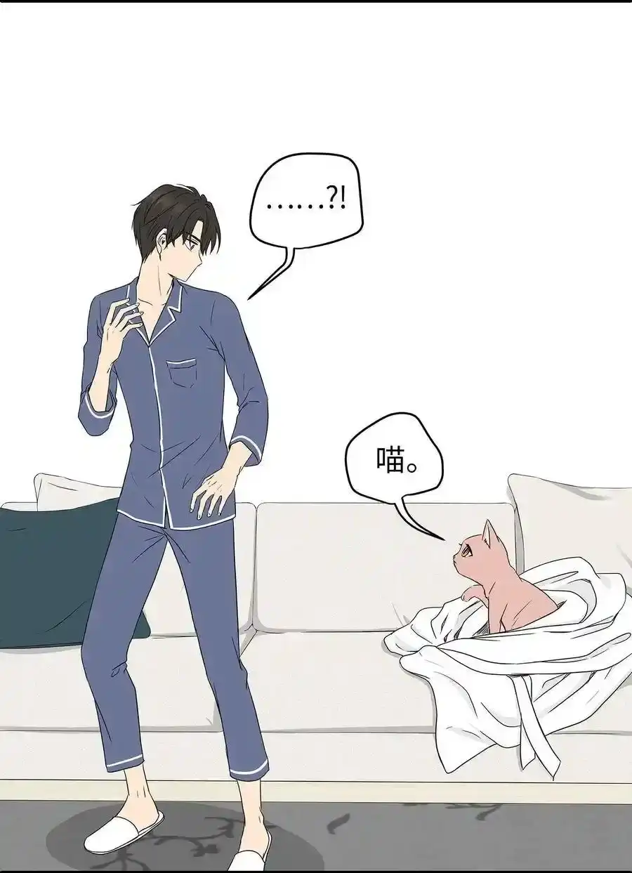 《为喵人生》02 我能摸一摸你吗？ 第38页