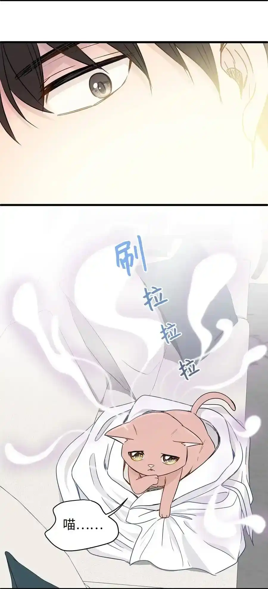 《为喵人生》02 我能摸一摸你吗？ 第37页