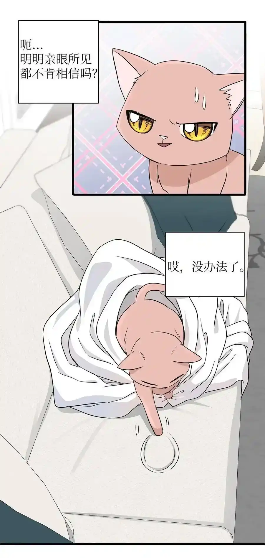 《为喵人生》02 我能摸一摸你吗？ 第41页