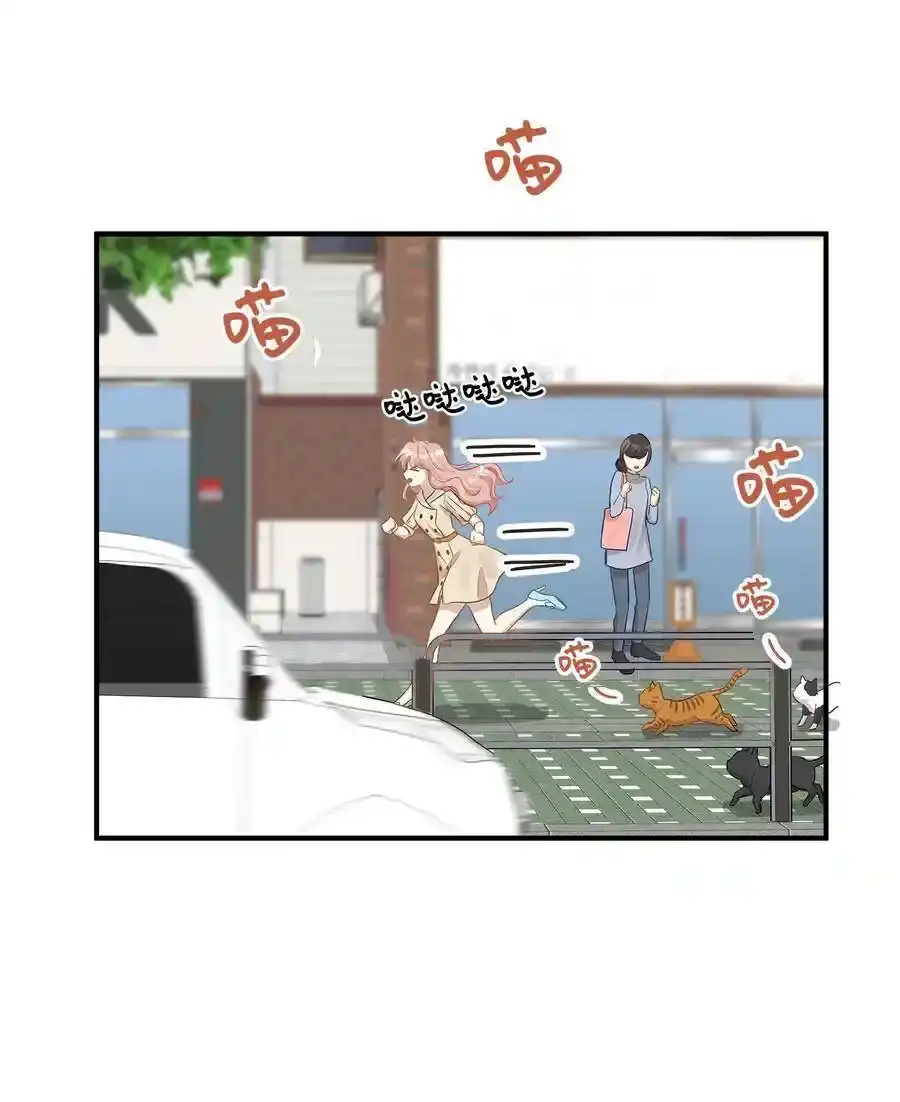 《为喵人生》20 与权主任的不期而遇 第40页