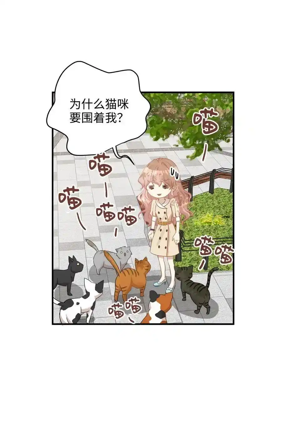 《为喵人生》20 与权主任的不期而遇 第36页