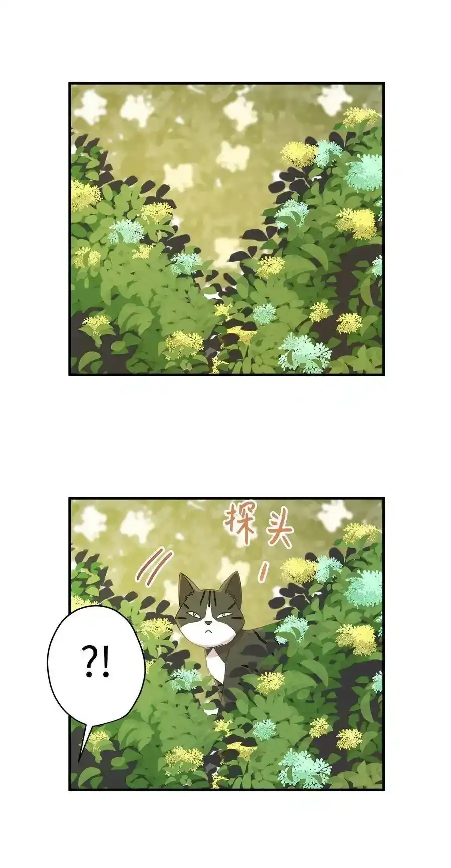 《为喵人生》20 与权主任的不期而遇 第32页