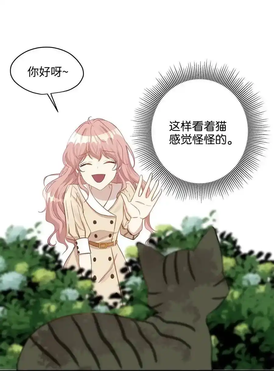 《为喵人生》20 与权主任的不期而遇 第33页