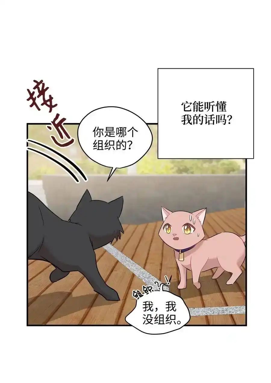 《为喵人生》21 权主任的家 第18页