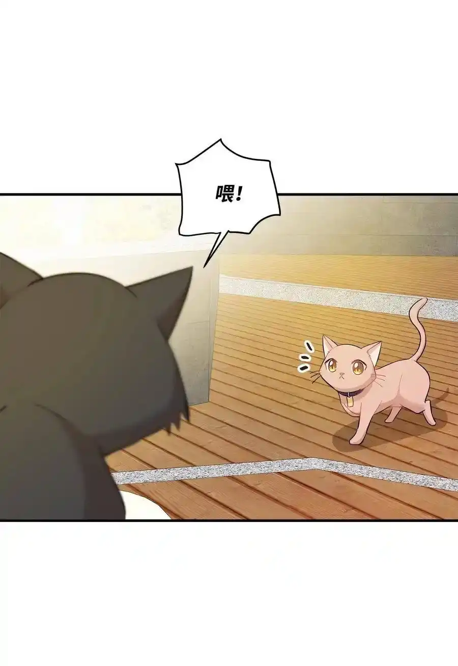 《为喵人生》21 权主任的家 第15页