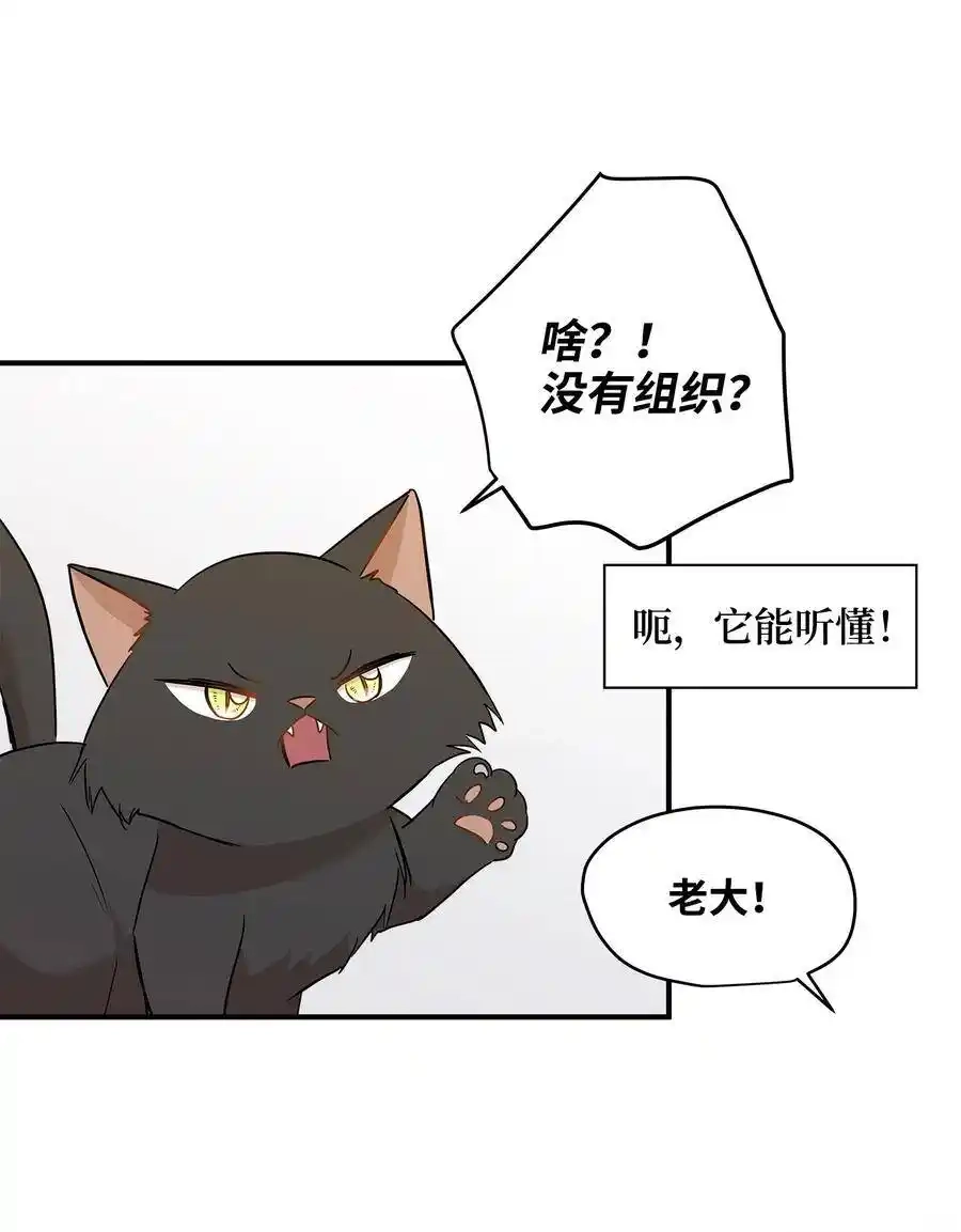 《为喵人生》21 权主任的家 第19页