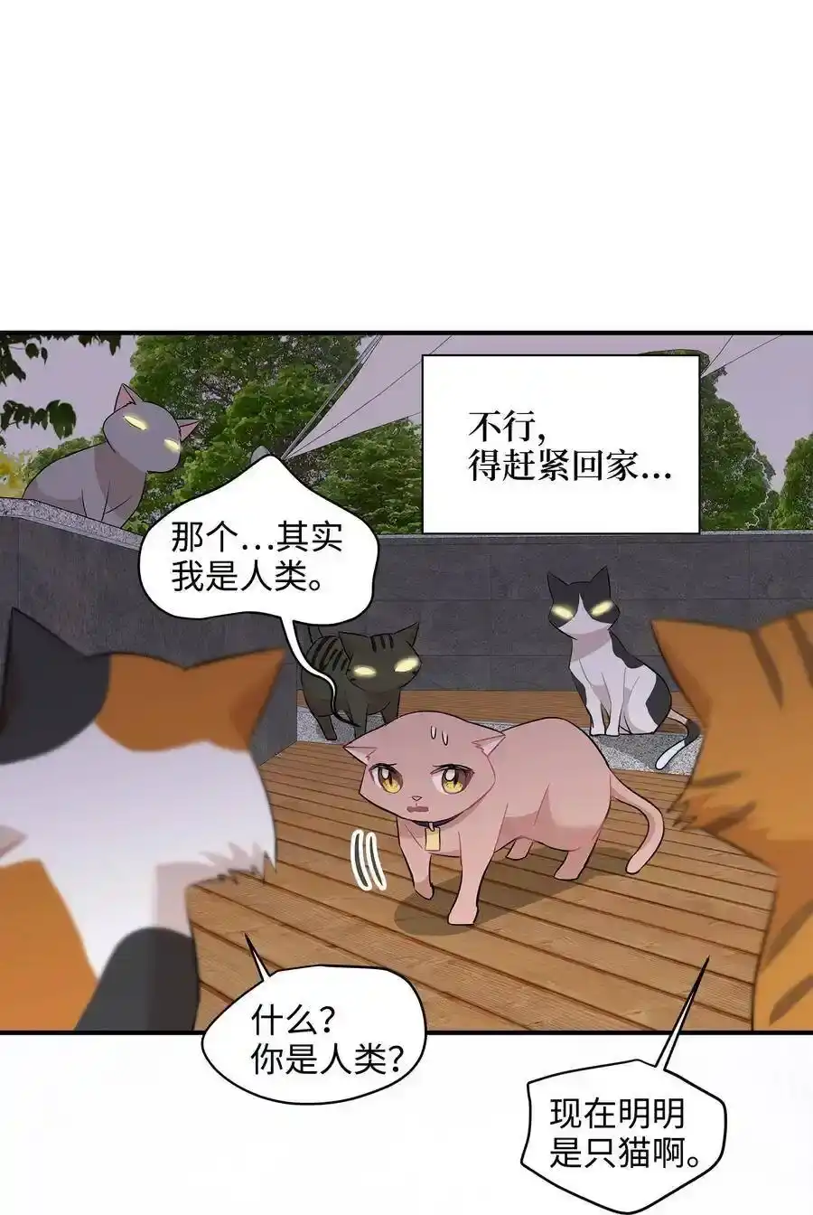 《为喵人生》21 权主任的家 第21页