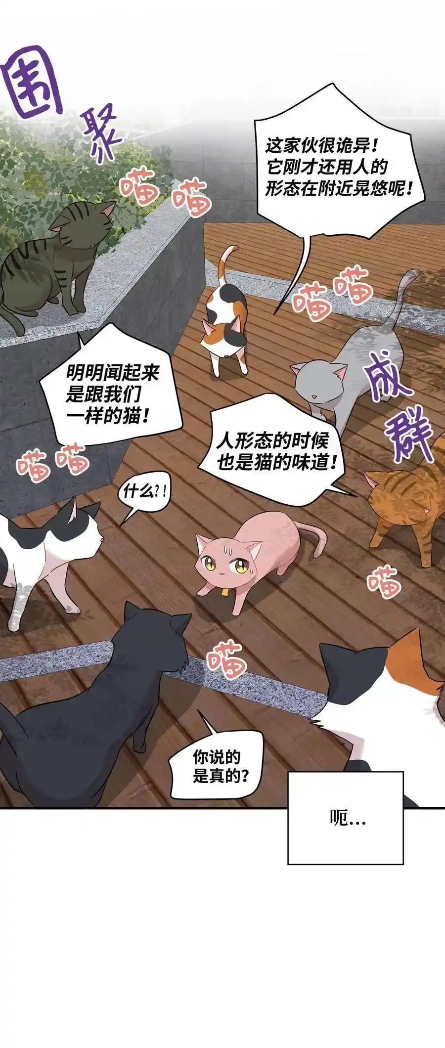 《为喵人生》21 权主任的家 第20页