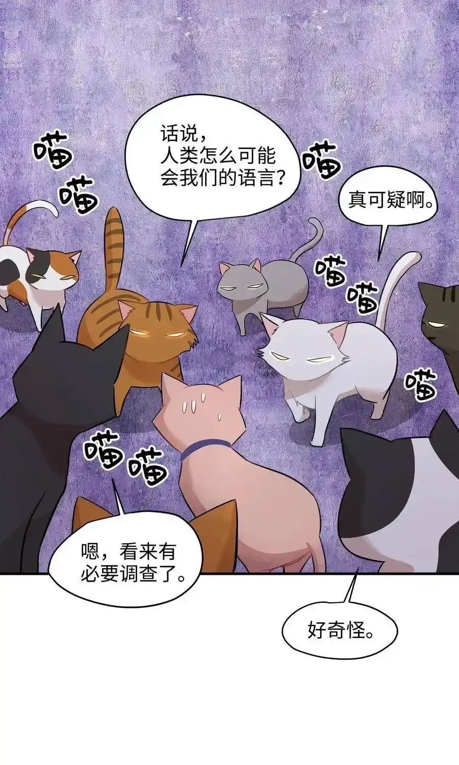《为喵人生》21 权主任的家 第23页
