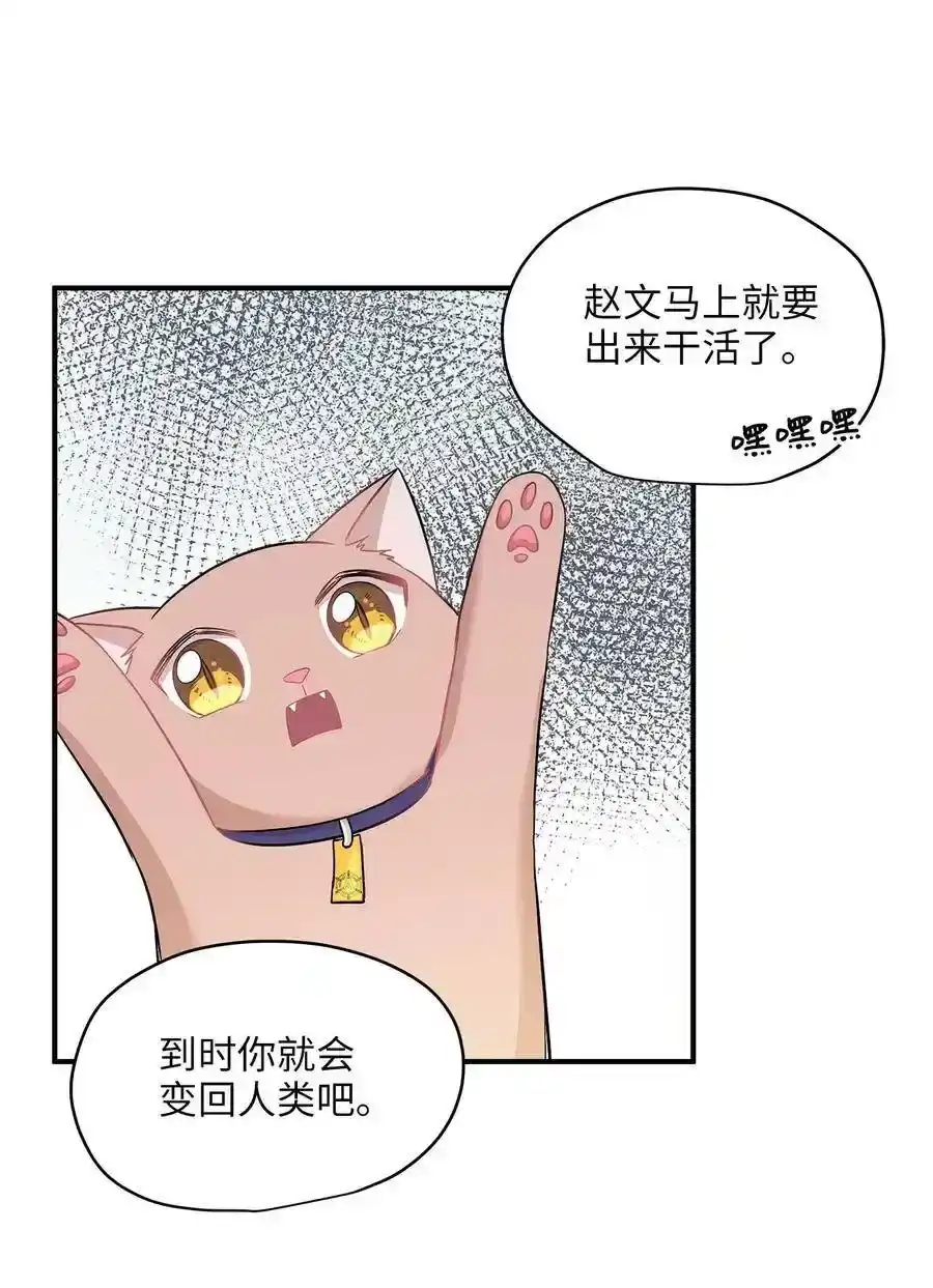 《为喵人生》22 真相大白 第10页