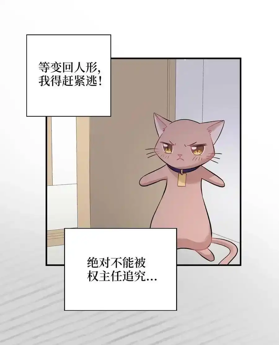 《为喵人生》22 真相大白 第21页