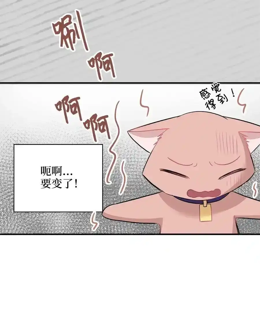 《为喵人生》22 真相大白 第23页