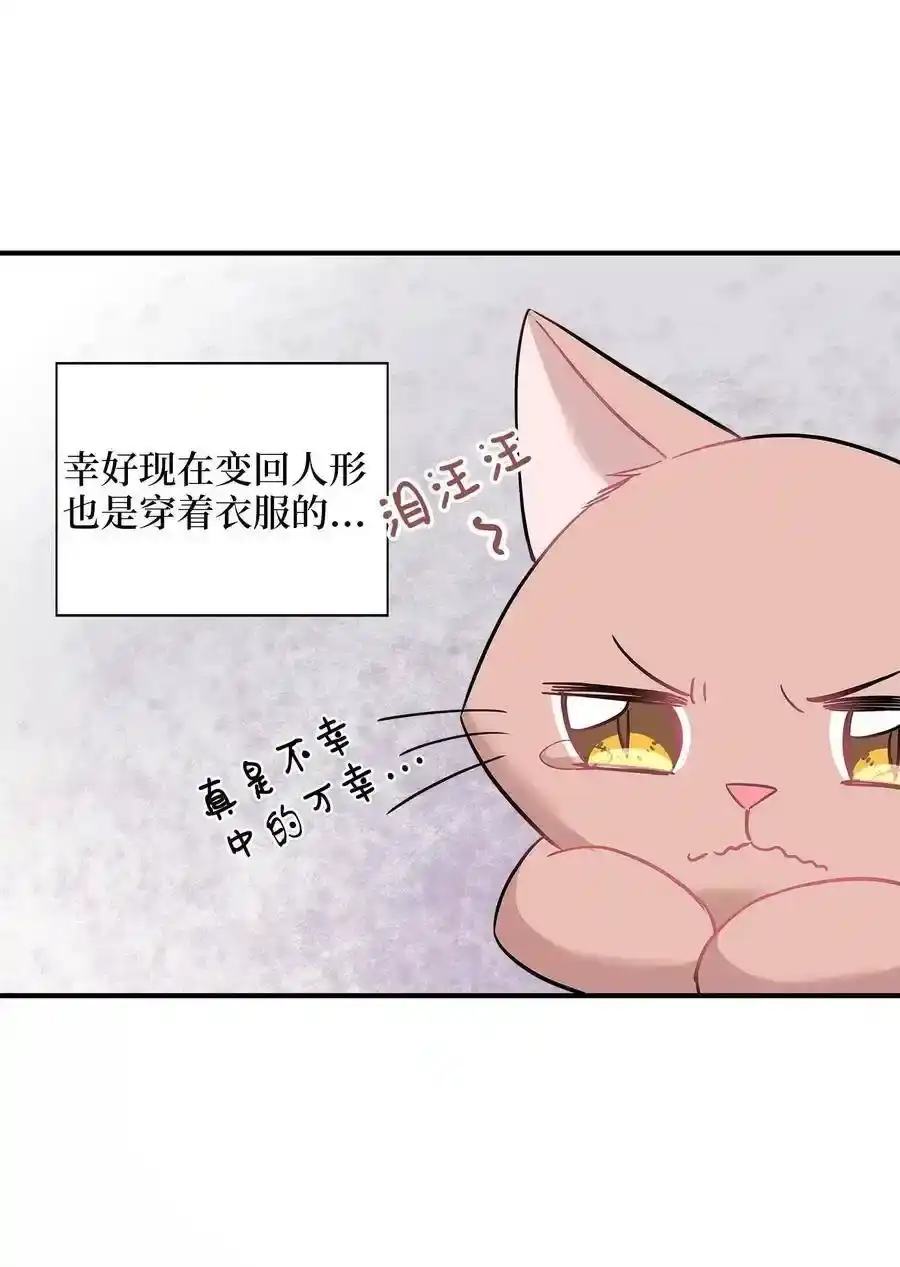 《为喵人生》22 真相大白 第20页