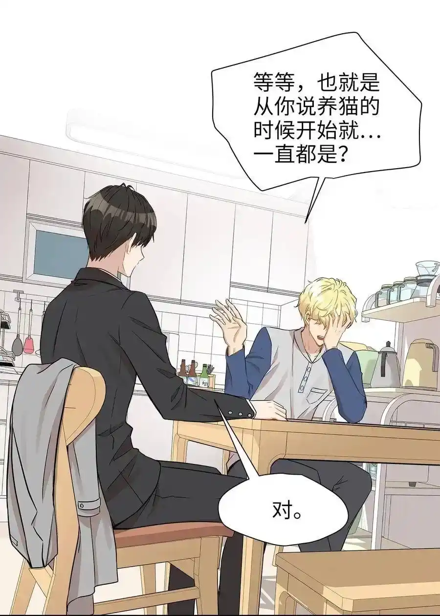 《为喵人生》23 针锋相对还是争风吃醋 第3页