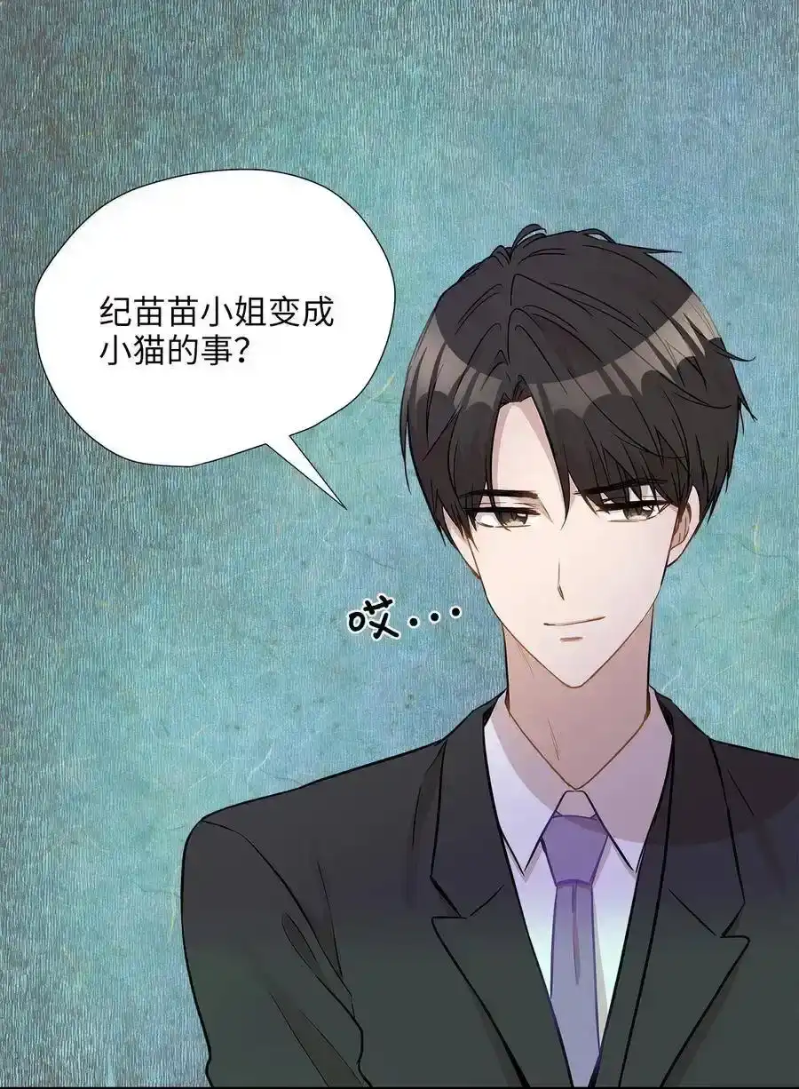 《为喵人生》23 针锋相对还是争风吃醋 第7页