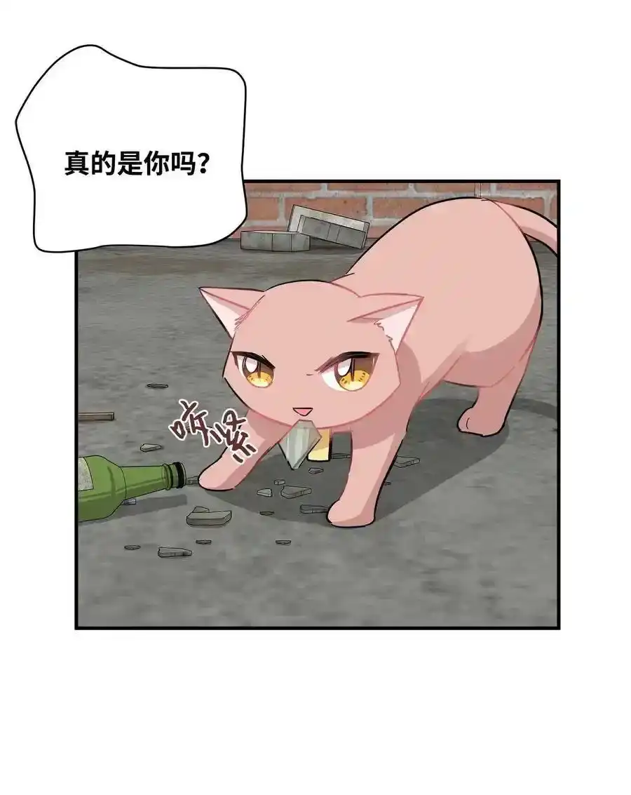 《为喵人生》26 尘埃落定 第32页