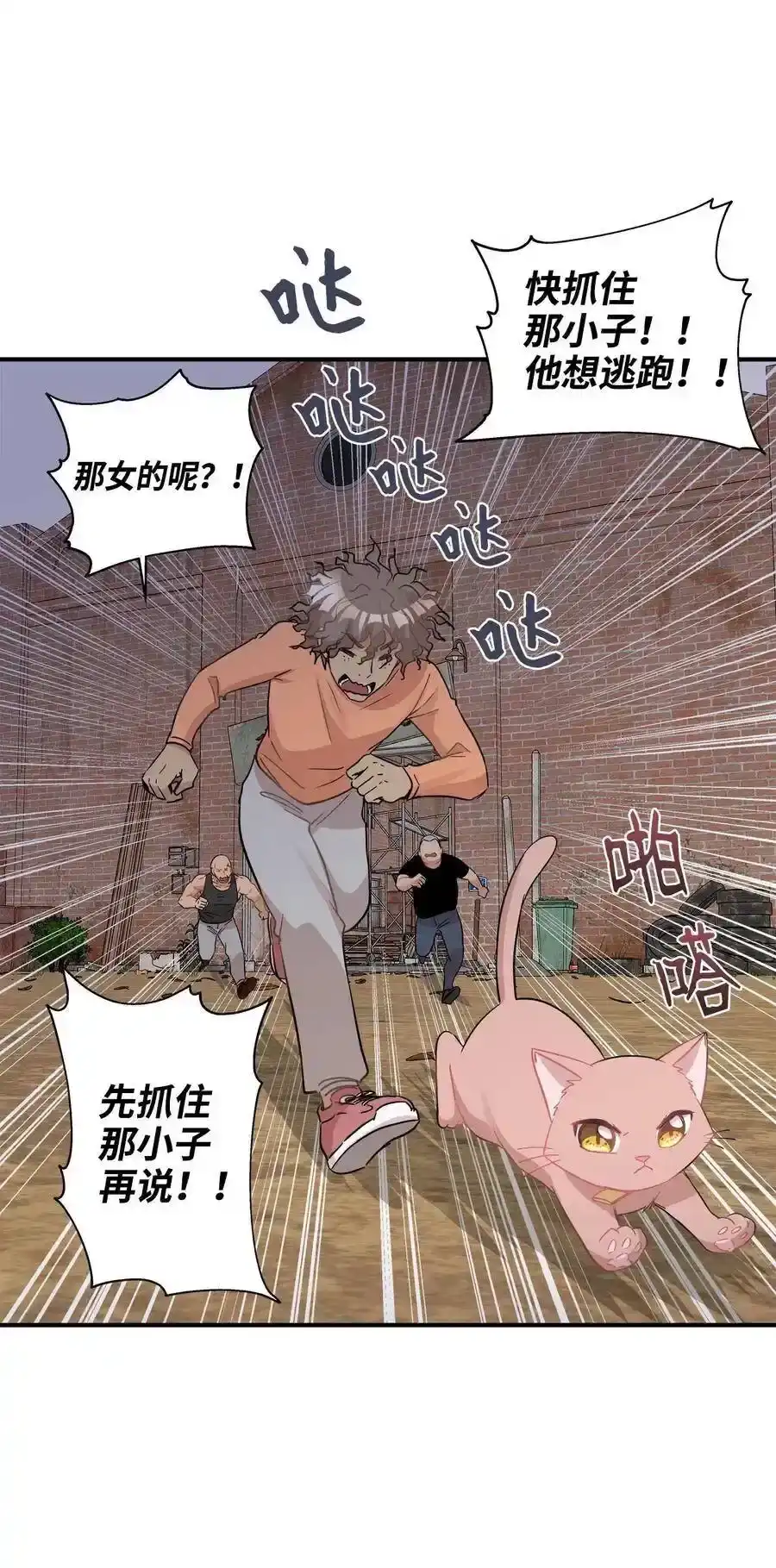 《为喵人生》26 尘埃落定 第35页