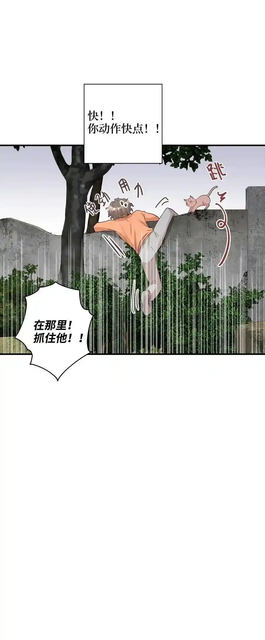 《为喵人生》26 尘埃落定 第36页