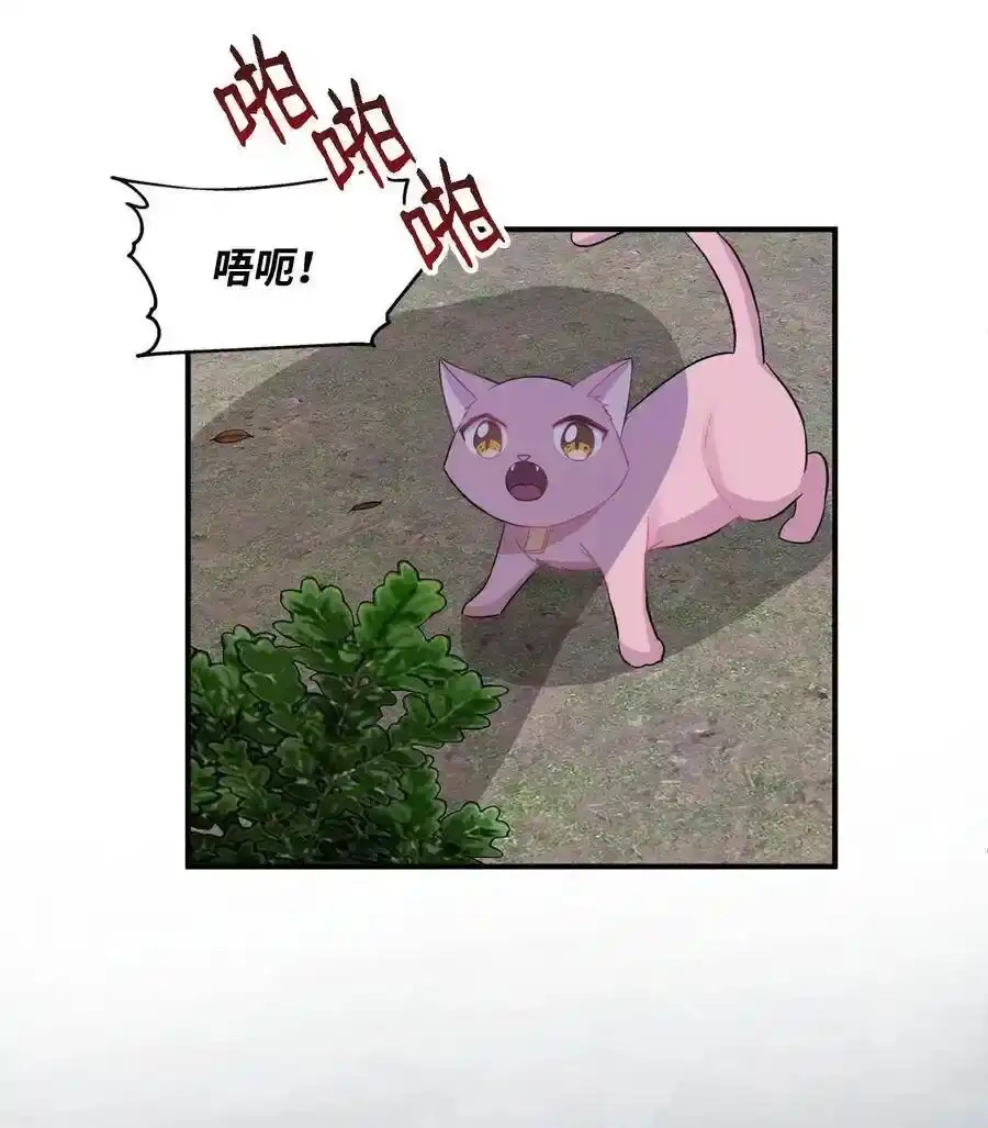 《为喵人生》26 尘埃落定 第49页