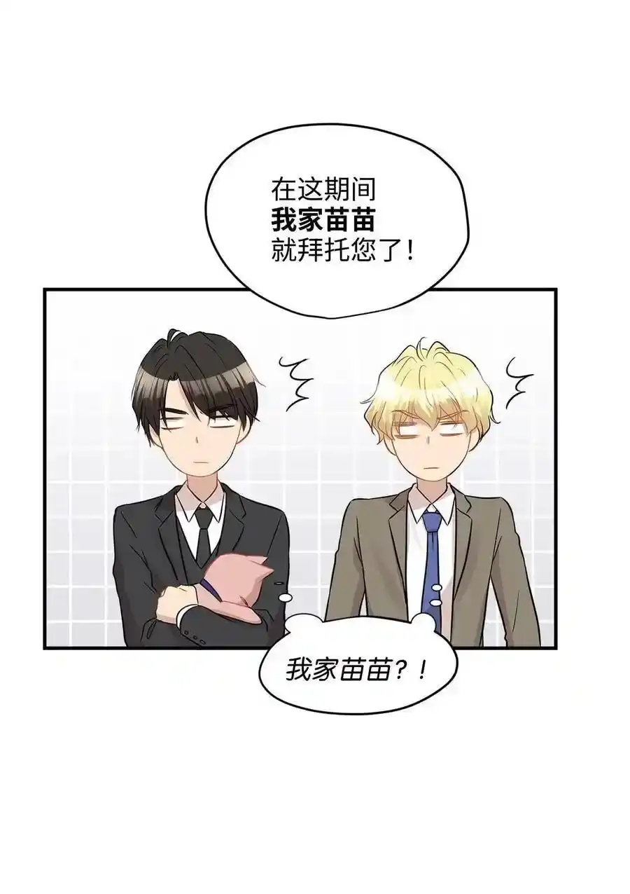 《为喵人生》26 尘埃落定 第66页