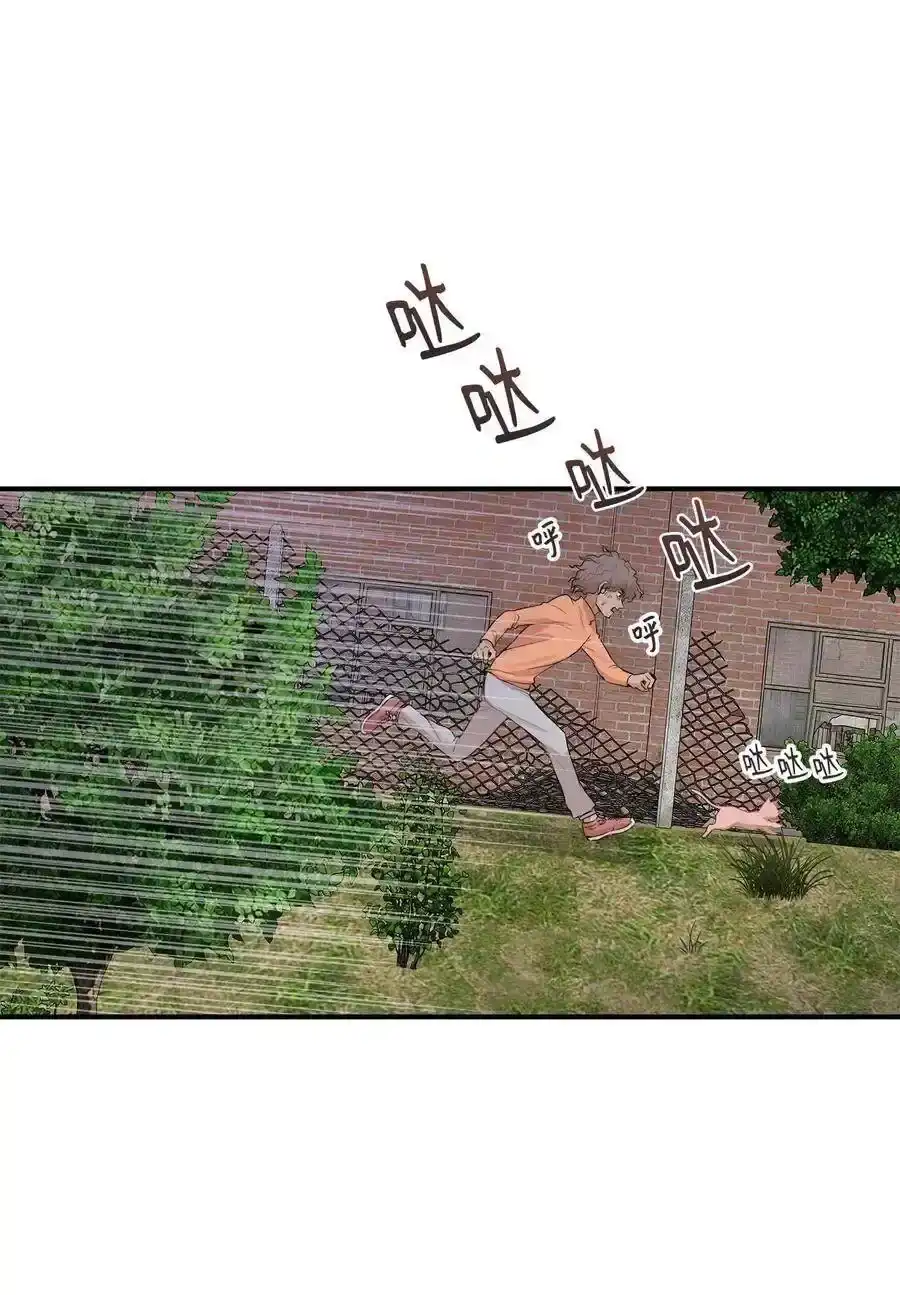 《为喵人生》26 尘埃落定 第37页