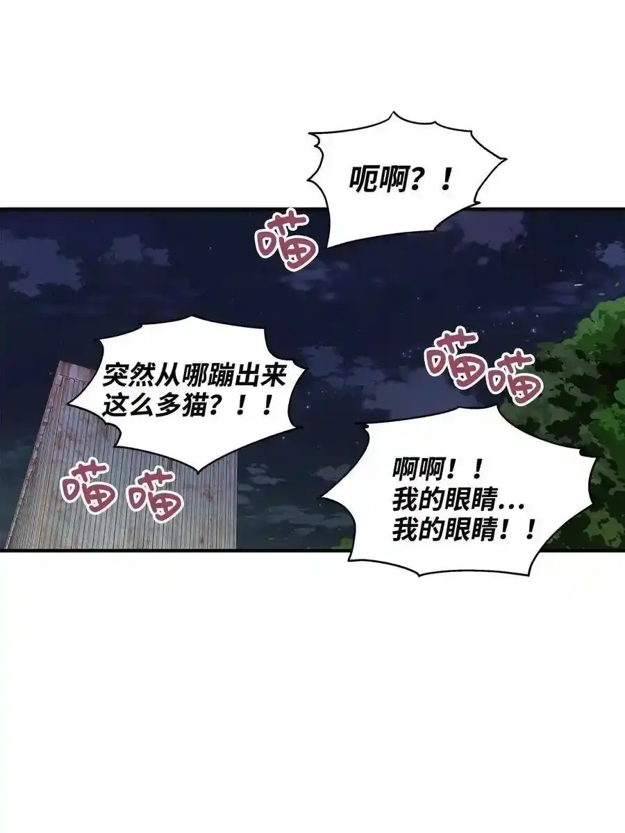 《为喵人生》26 尘埃落定 第44页