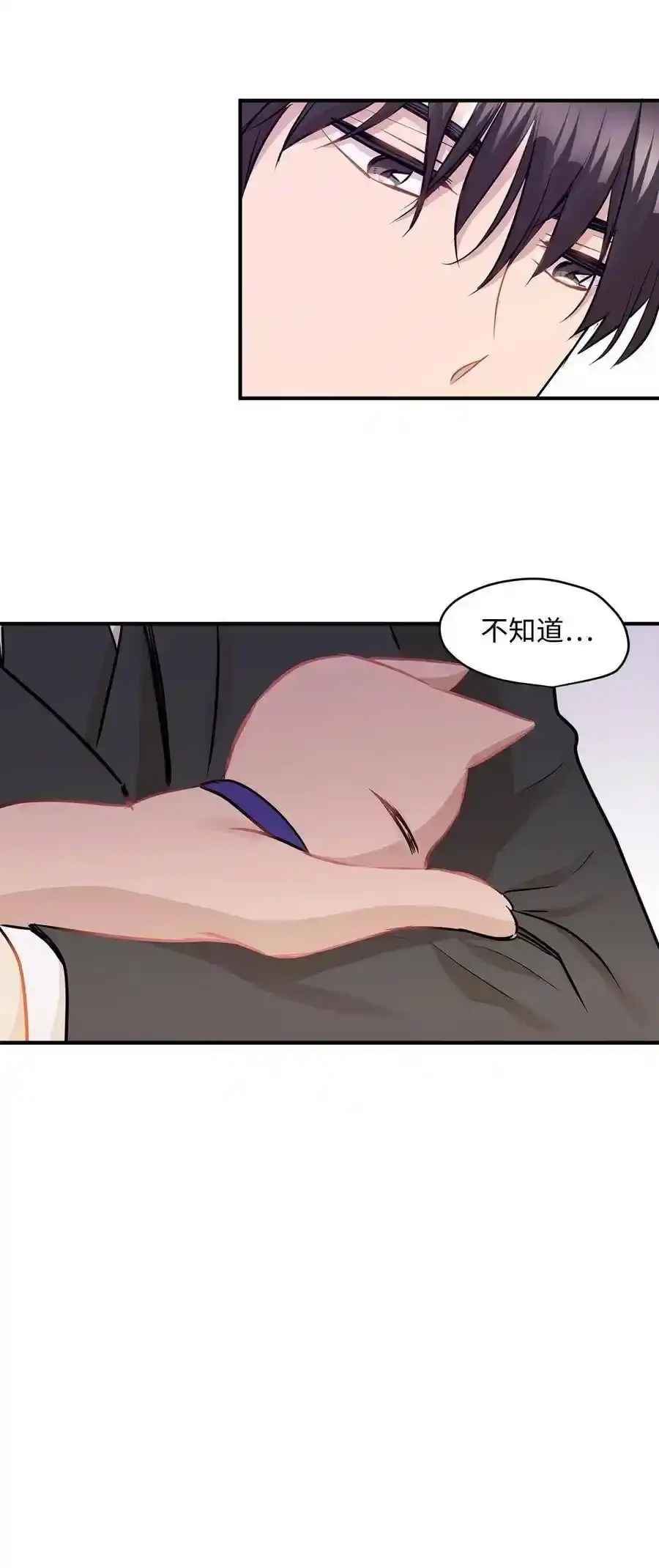 《为喵人生》26 尘埃落定 第69页