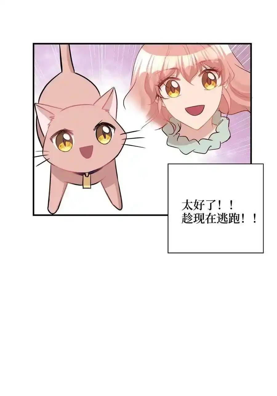 《为喵人生》26 尘埃落定 第45页